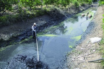 成都河道清淤是恢復河道生態的重要手段